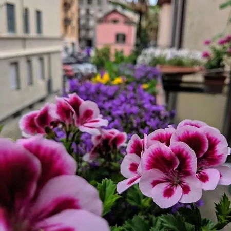 Casa Glicine Homestay szállás Milánó